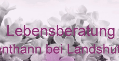 Lebensberatung Hohenthann bei Landshut, Isar | Top-Experten für Kartenlegen, Wahrsagen, Hellsehen, Zukunftsdeutung. Lebensberatung Hohenthann bei Landshut, Isar | Top-Experten für Kartenlegen, Wahrsagen, Hellsehen, Zukunftsdeutung.